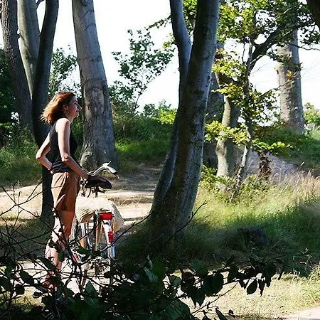 Pensjonat Seehus Ostsee Sehlendorf