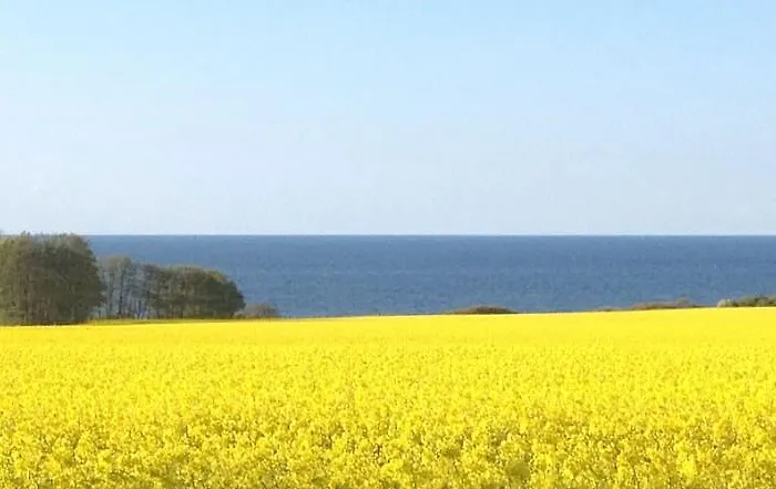Casa de hóspedes Seehus Ostsee 3*